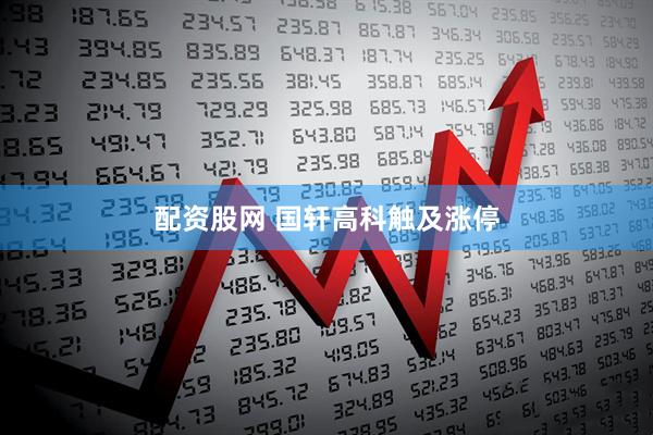 配资股网 国轩高科触及涨停